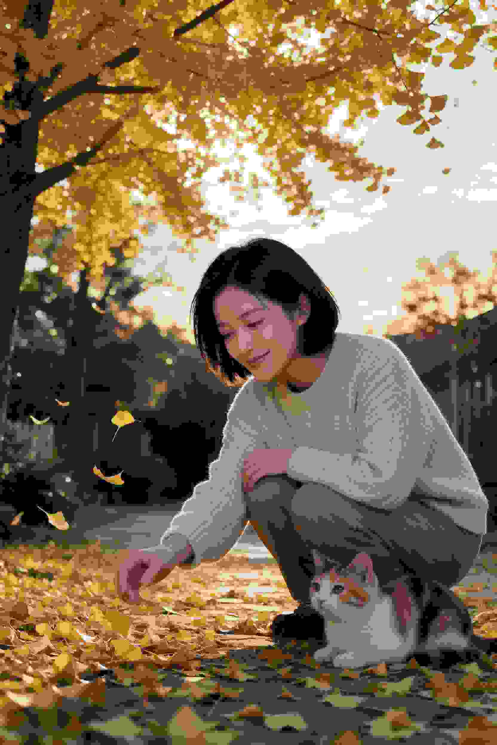 治愈作品3